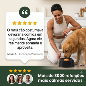 Slow Feeder Dog Bowl - Uso